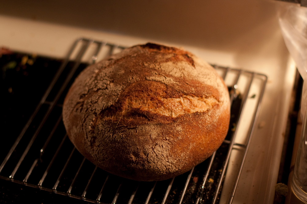 2009 noknead bread IMG 9474 med.jpg